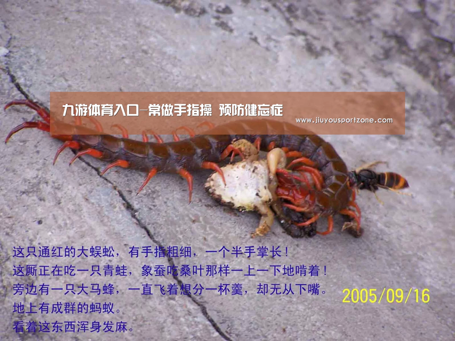 九游体育入口-常做手指操 预防健忘症(图2)