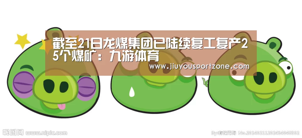 截至21日龙煤集团已陆续复工复产25个煤矿：九游体育