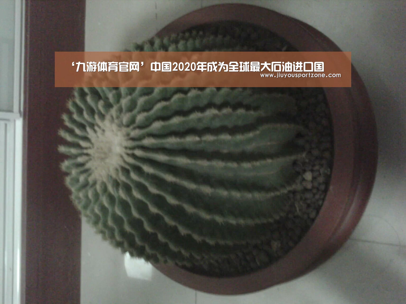 九游体育